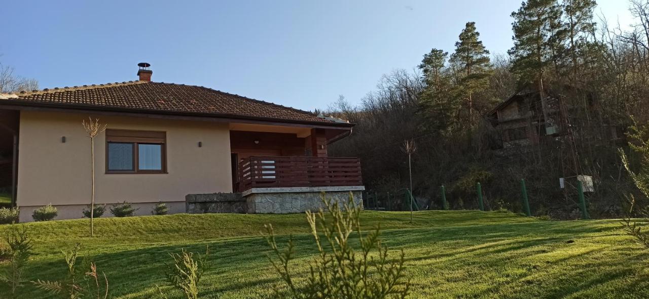 Babakaj Villa Golubăţ Exterior foto