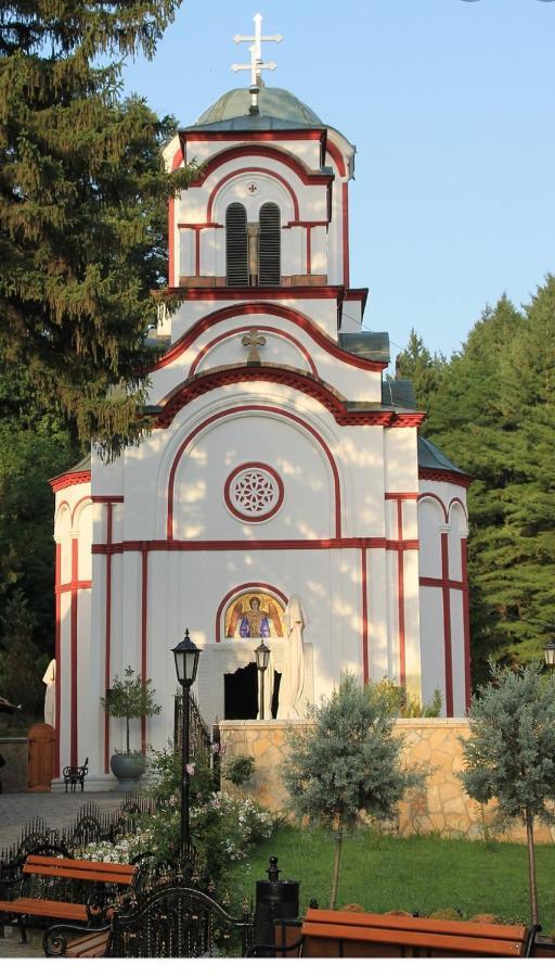 Babakaj Villa Golubăţ Exterior foto